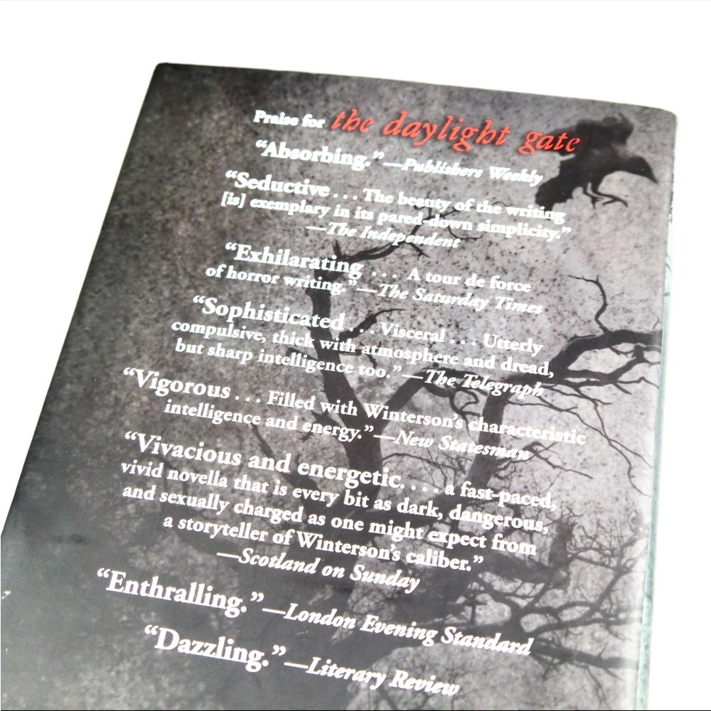 The Daylight Gate hardcover - Picture 4 of 6